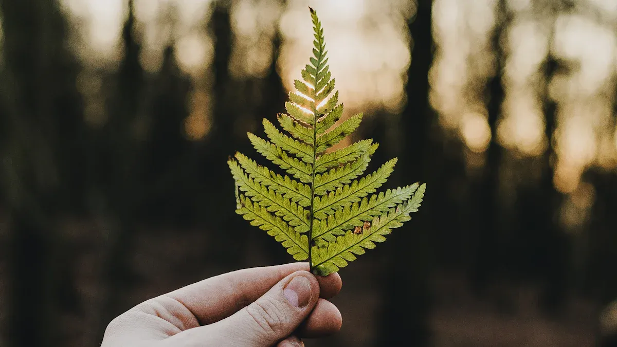 What Are Recycled Polyester T-Shirts?